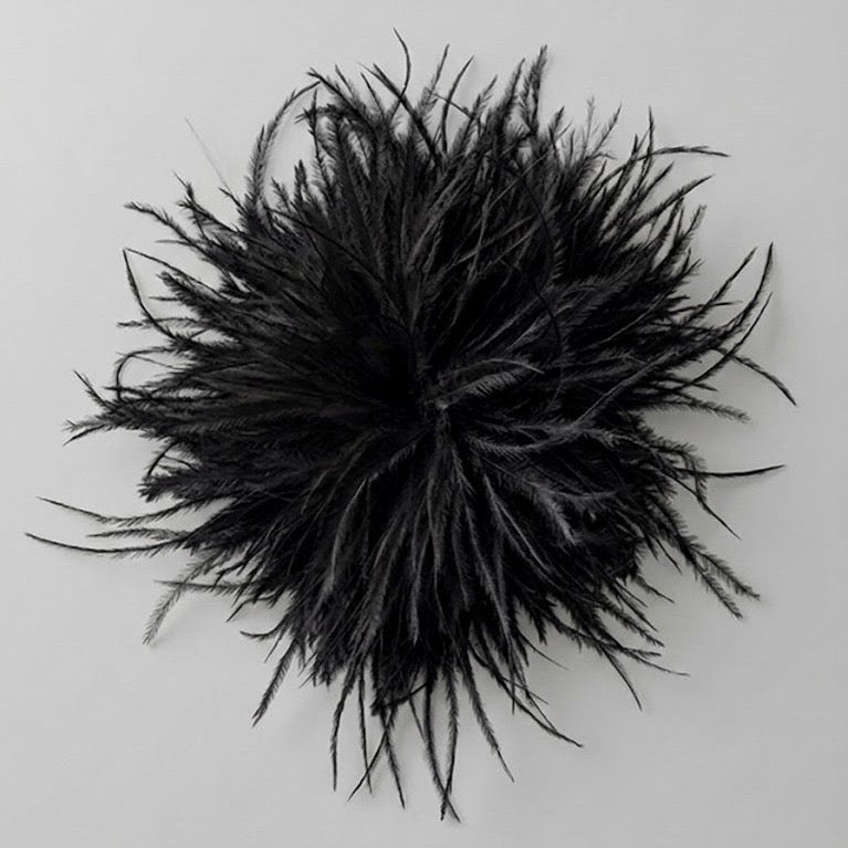 FEATHER PIN & CLIP