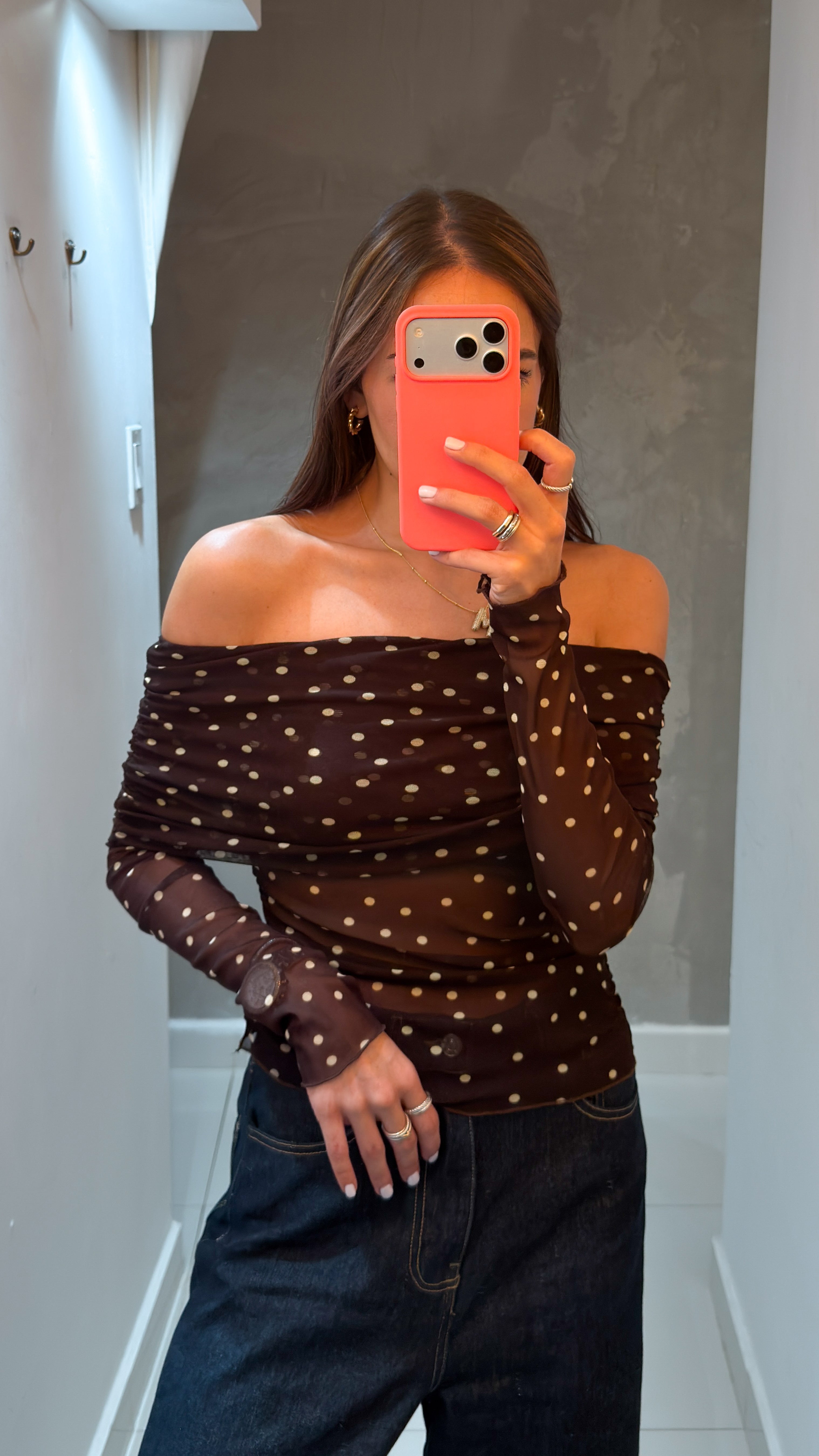 DANILLA POLKA DOT MESH LONG SLEEVE BLOUSE IN BROWN